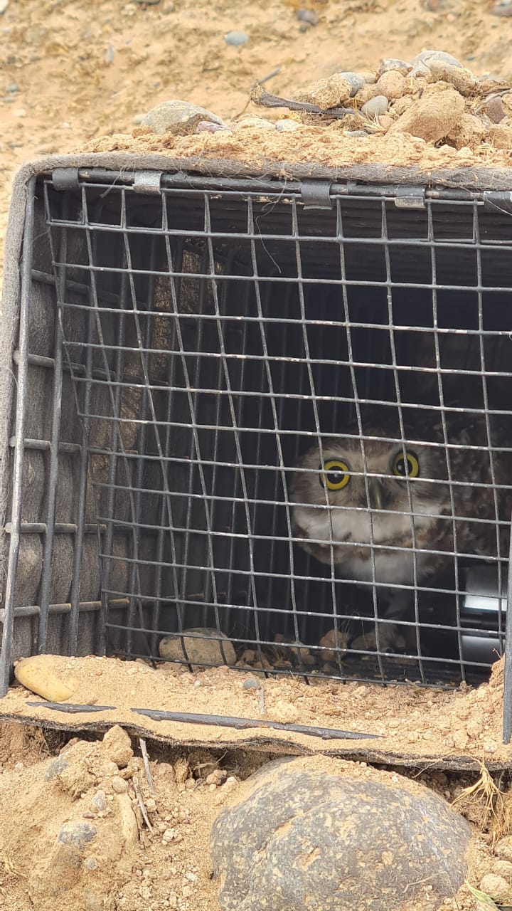 WhatsApp Image 2025-12-05 at 05.49.55_7a29b490