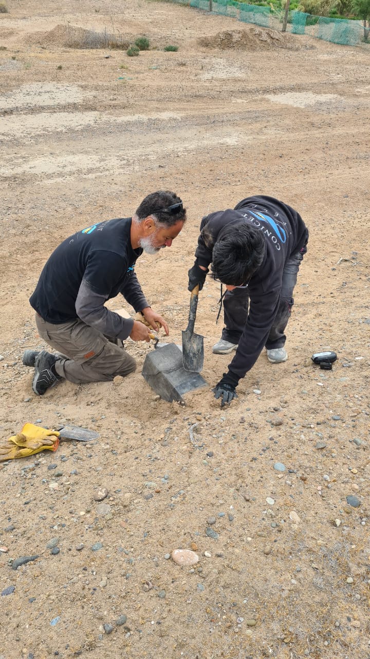 WhatsApp Image 2025-12-05 at 05.49.57_878d3e55