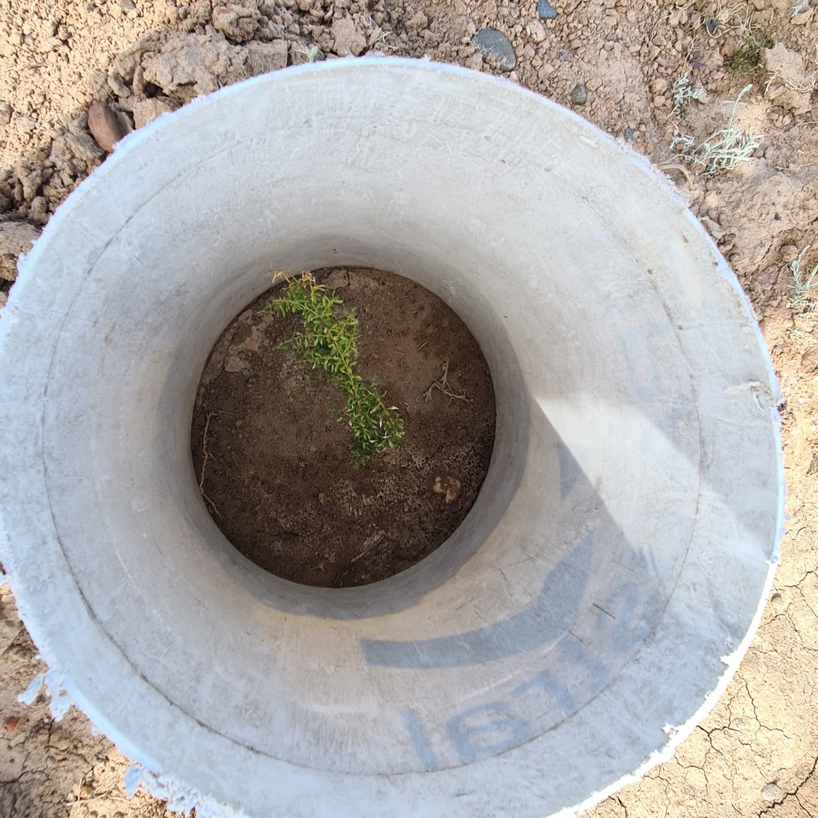 WhatsApp Image 2025-12-14 at 19.07.29 (2)